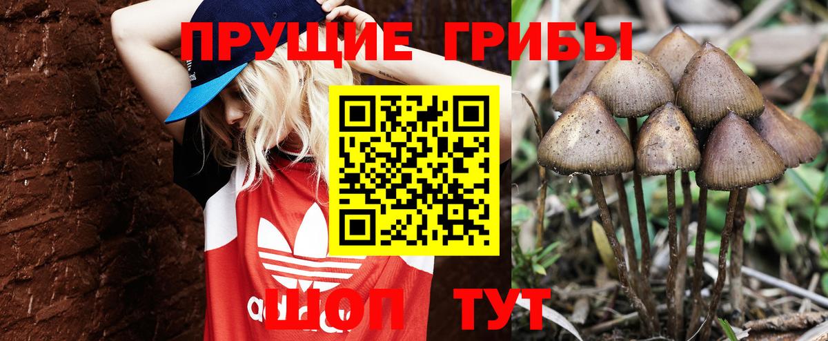 Галлюциногенные грибы Cubensis  Галлюциногенные грибы Psilocybe  Вход с VPN  Шебекино 